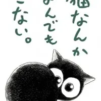 Постер аниме Я не могу поймать кота