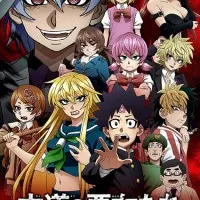 Постер аниме Плохие девчонки Рокудо